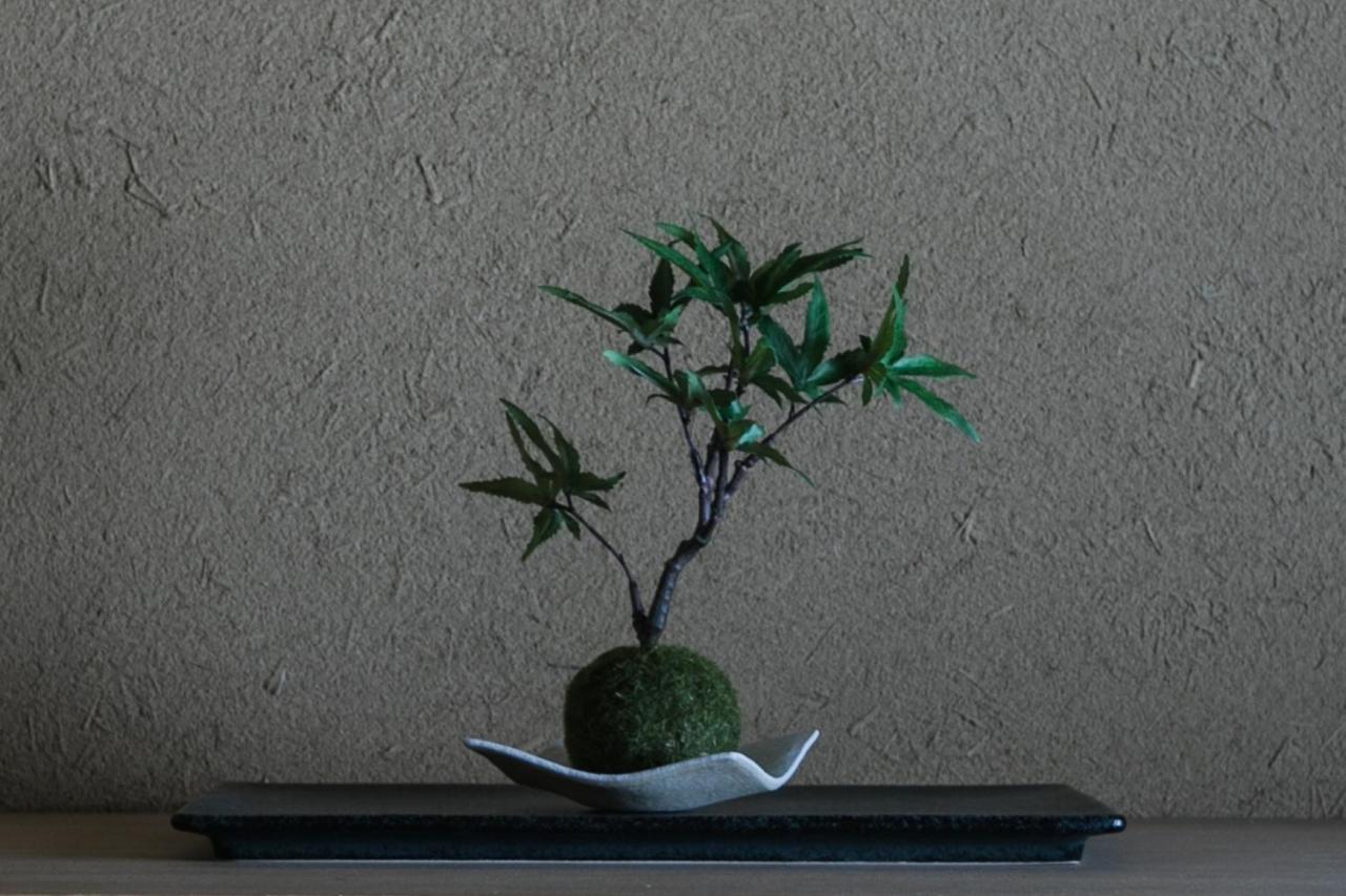 No.8 Kyoto Villa Dış mekan fotoğraf